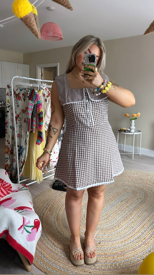 Brown Gingham Oversized Collar Skater Mini Dress