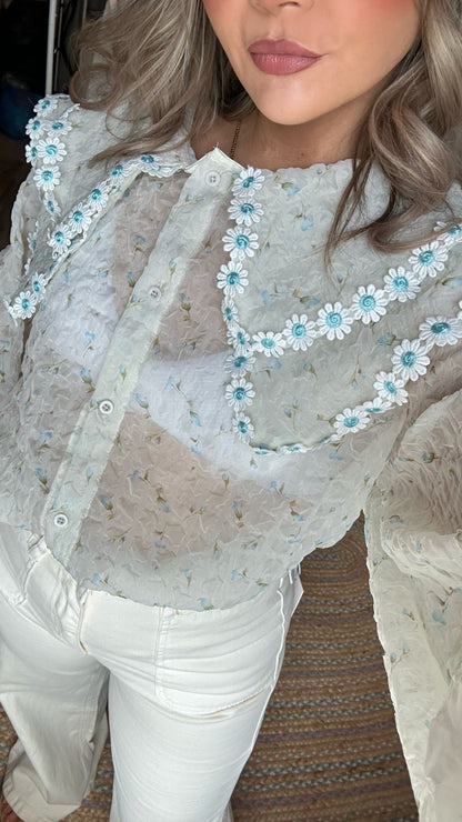 Daisy Wide Collar Chiffon Blouse - Blue